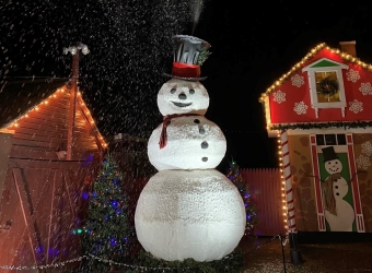 Forest_Snowman_2