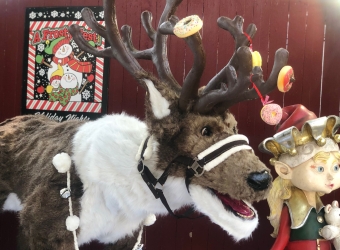 Dasher