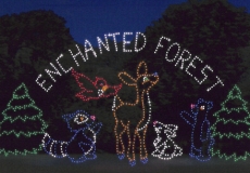 enchanted_forest.sized