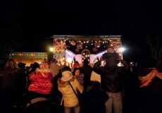 20_Elf-Show-Crowd