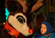AFF-Rudolph