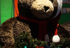 AFF-teddy-large